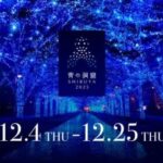 Ao no Dokutsu SHIBUYA 2025｜Thursday, December 4 – Thursday, December 25｜Romantic Blue Illumination at Yoyogi Park & Shibuya!